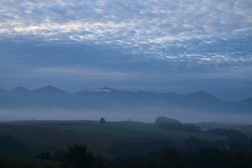 もうすぐ夜明け