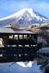忍野八海鏡池
