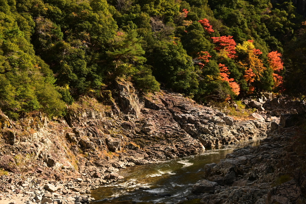 武庫川渓谷沿い
