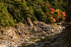 武庫川渓谷沿い