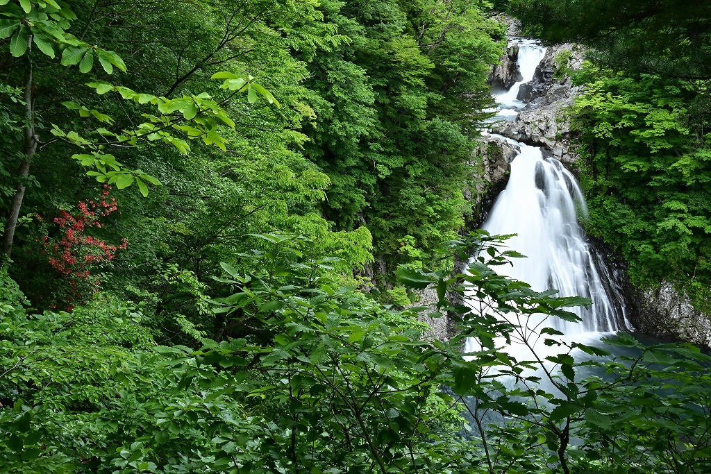 法体の滝・初夏