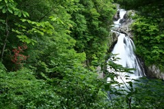 法体の滝・初夏