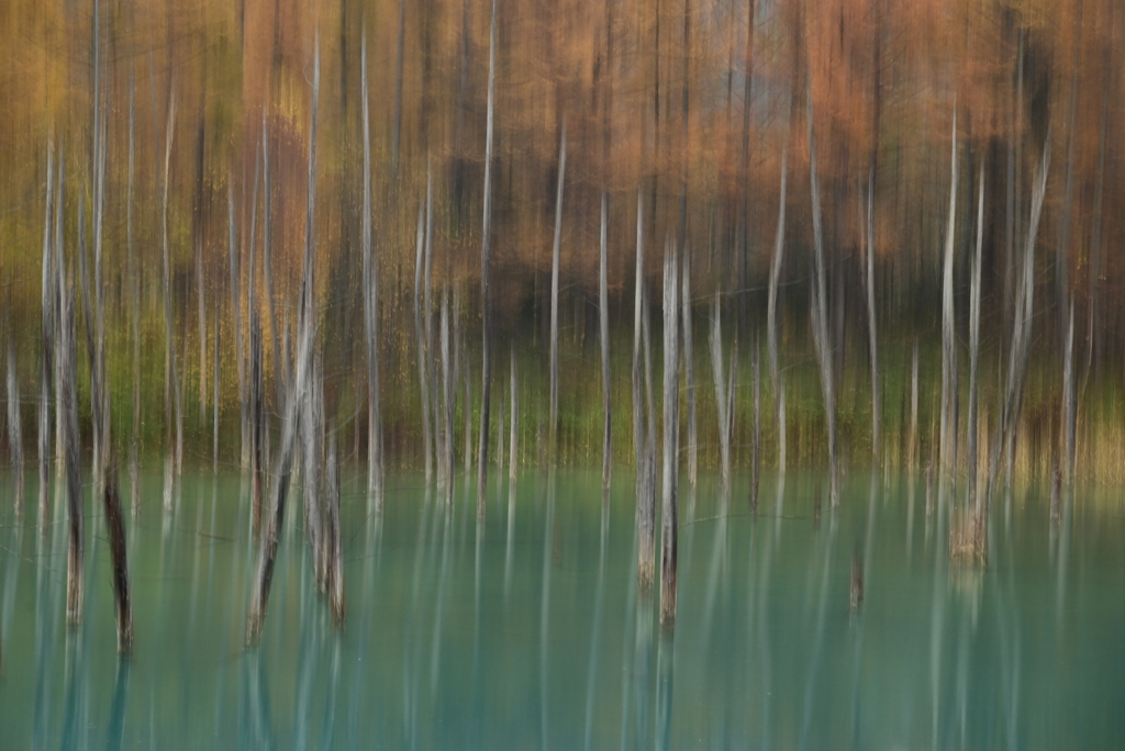 11月の青い池