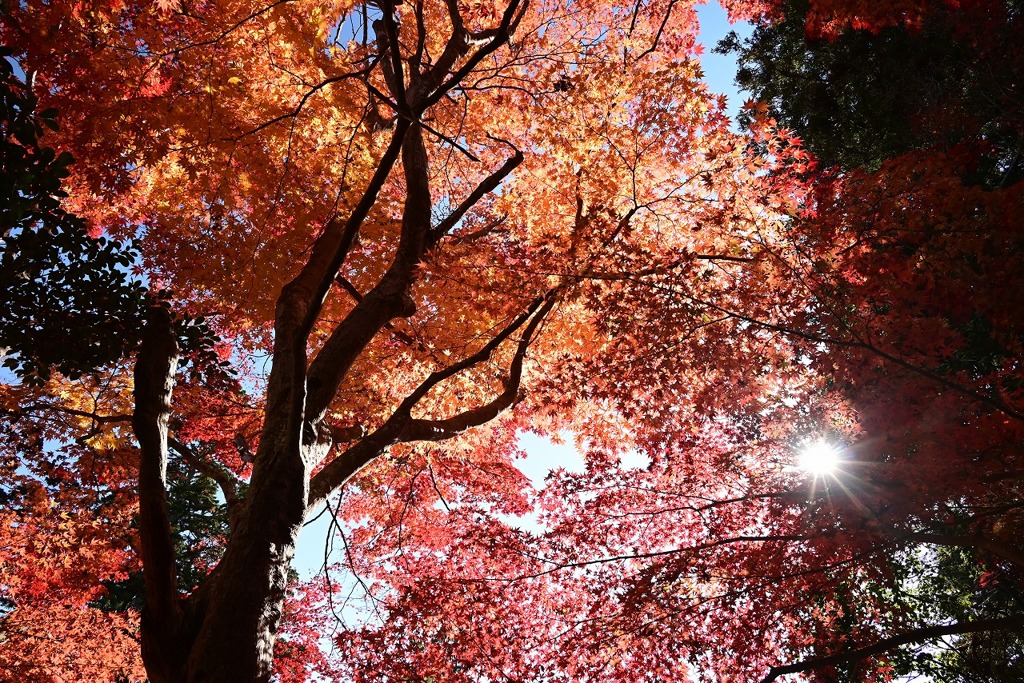 1-鍬山神社