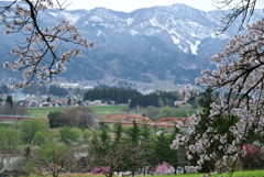飯山の春