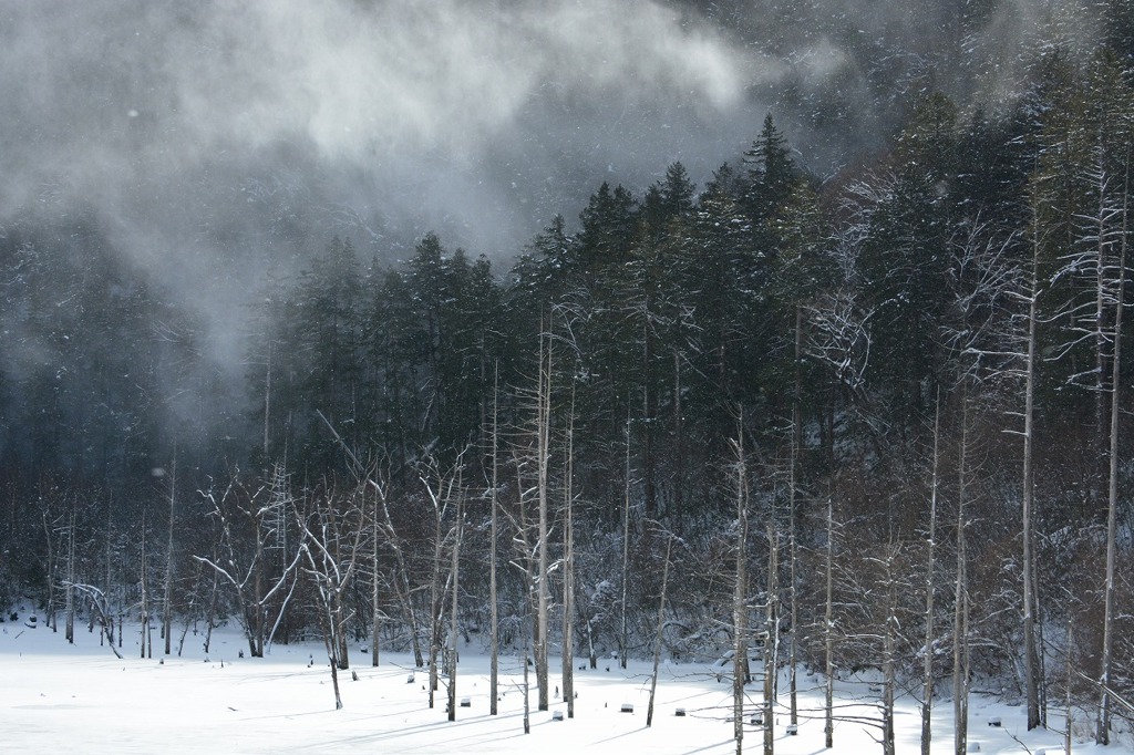 冬の自然湖