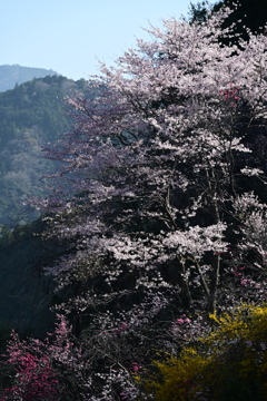 2-上久喜の里