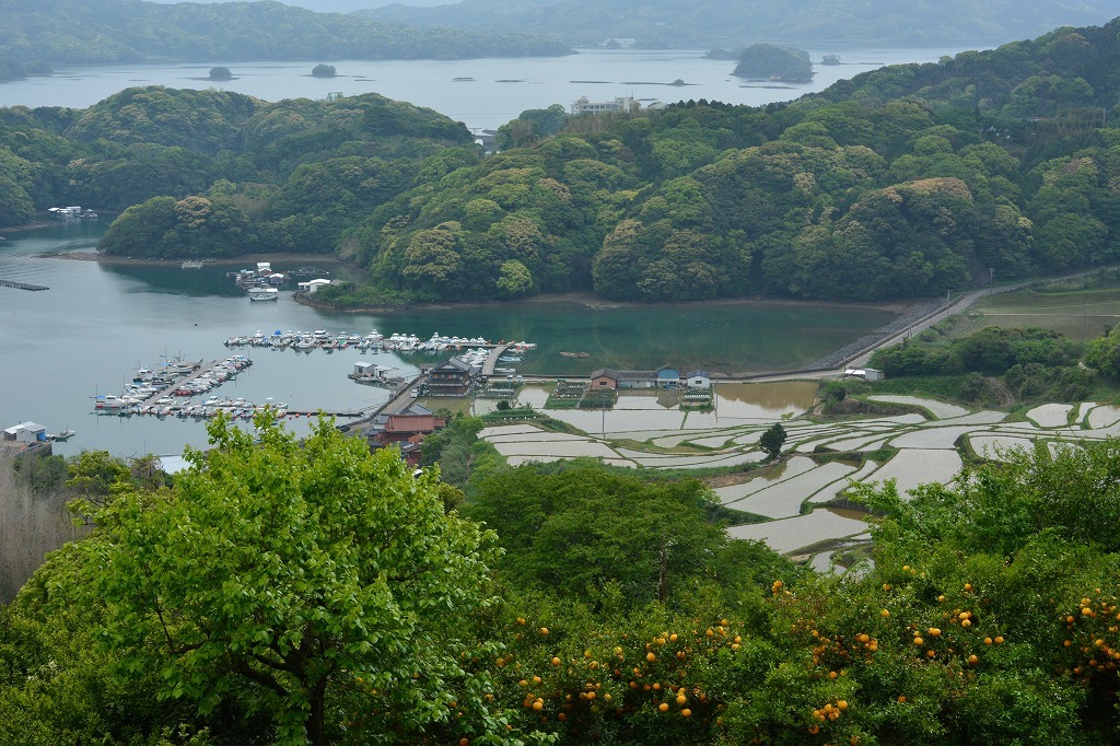 海の見える棚田