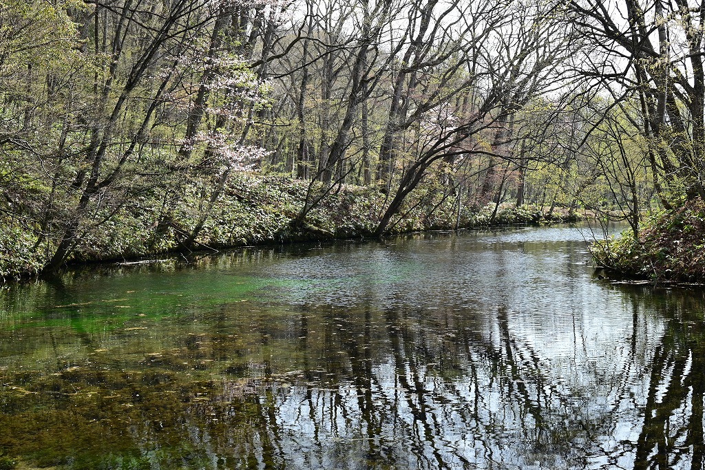 鳥沼公園