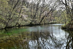 鳥沼公園