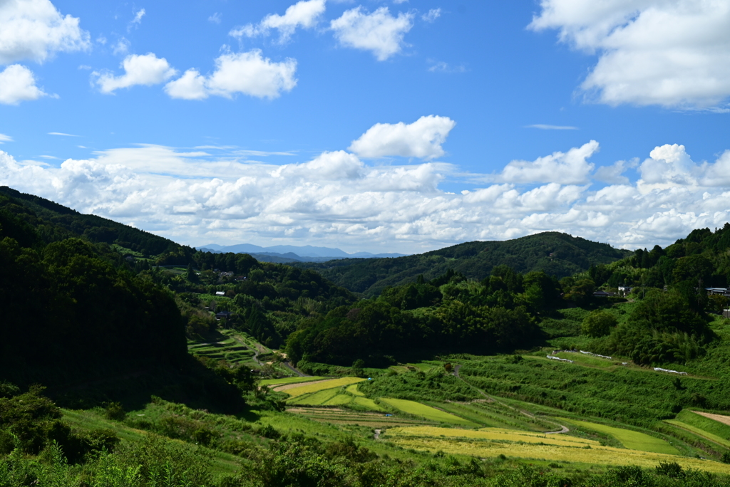 山奥にある棚田
