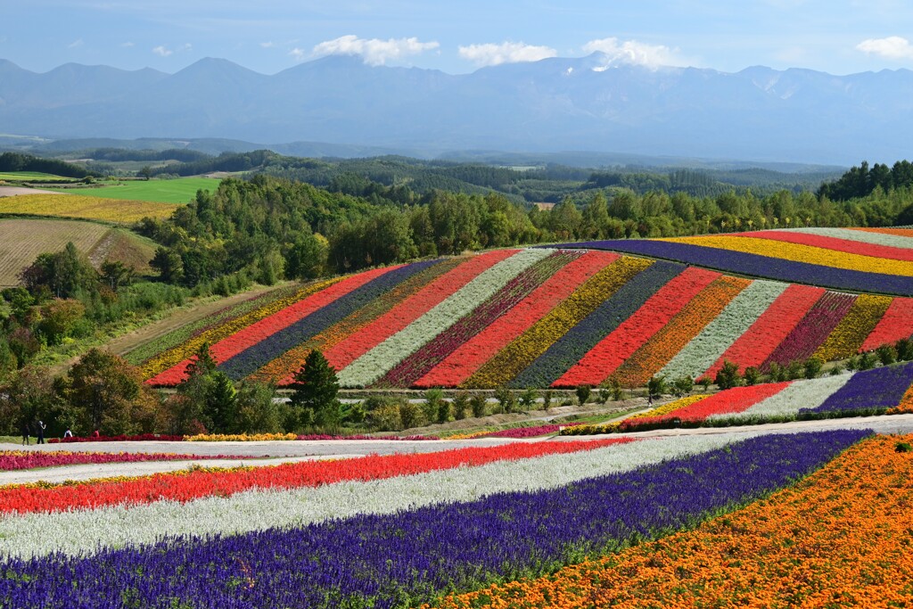 四季彩の丘・秋
