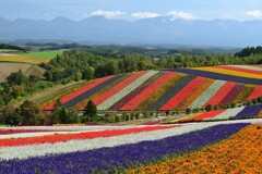 四季彩の丘・秋