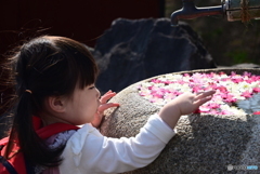 そっとね