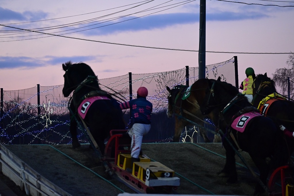 ばんえい競馬(2)