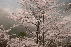 4-三休公園