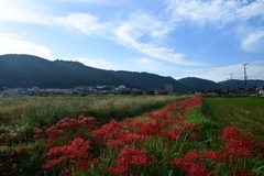 田園風景