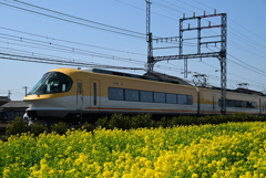 斎宮跡
