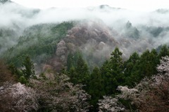 吉野山・中千本