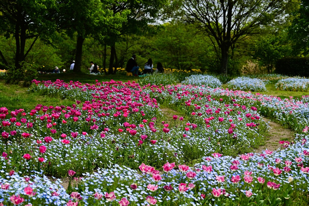 2-馬見丘陵公園