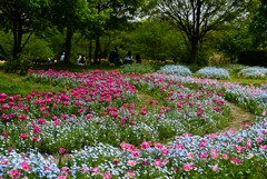 2-馬見丘陵公園