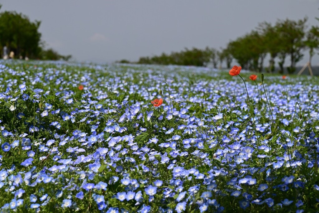 ちょっと失礼‼