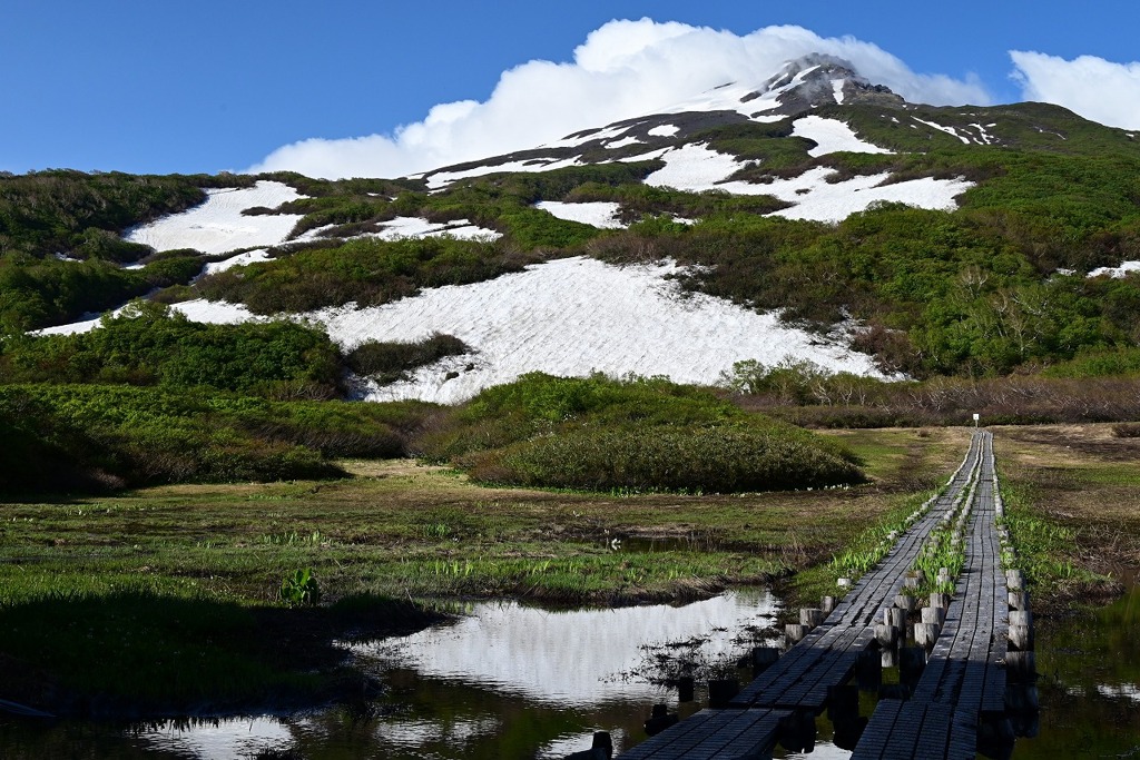 竜ヶ原湿原