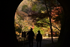 廃線6号トンネル