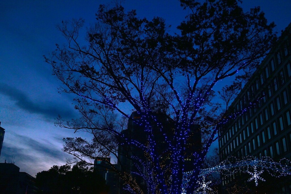 トワイライトタイム