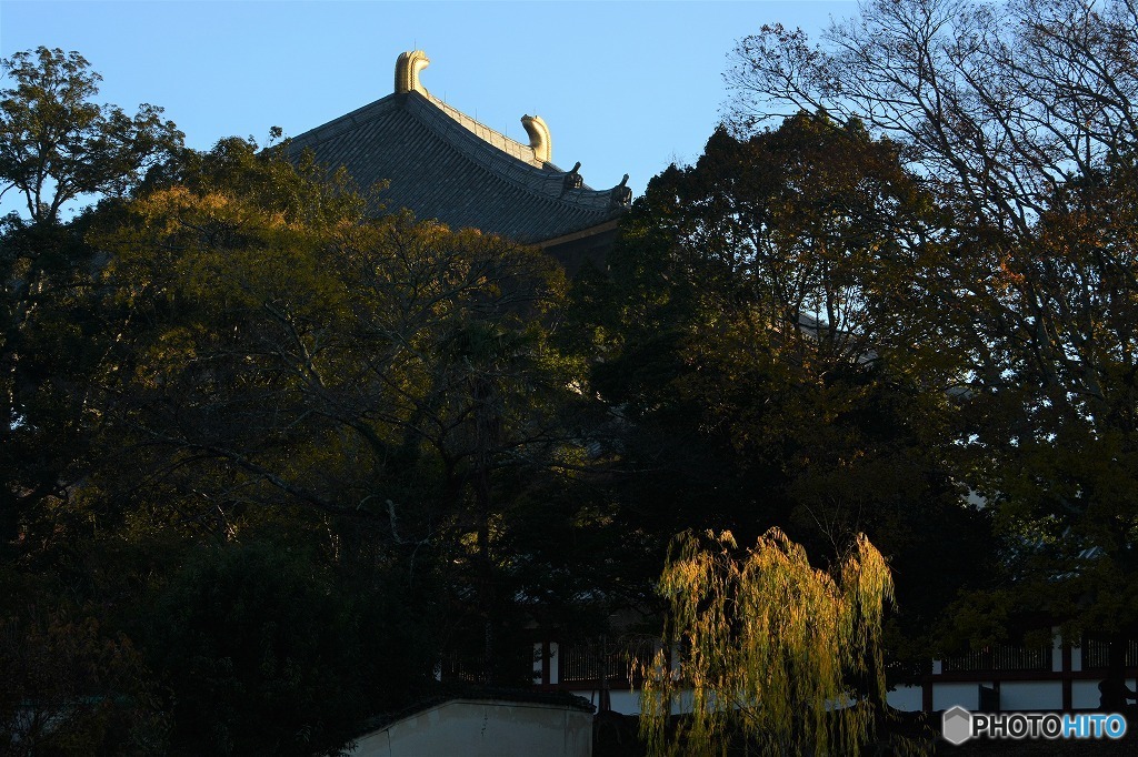 東大寺