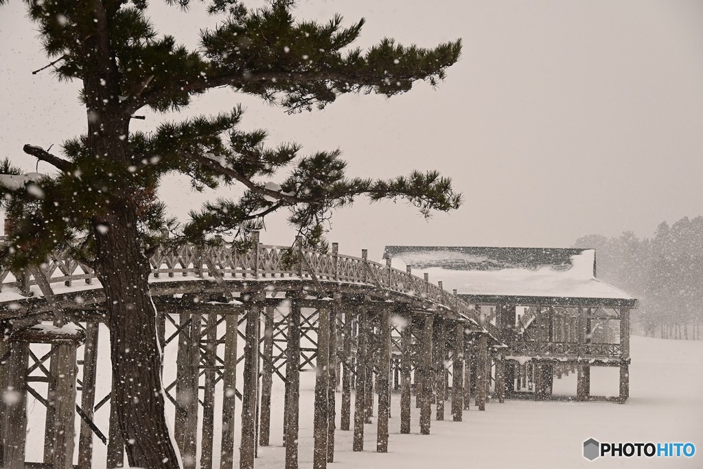 鶴の舞橋　
