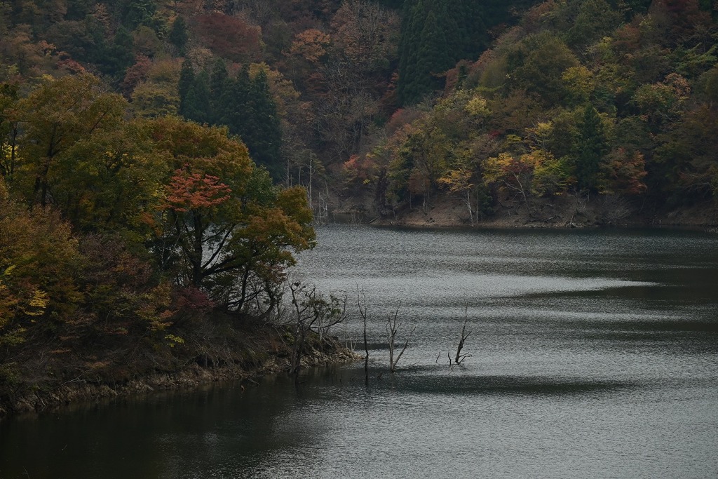 麻蒔ブナ橋から