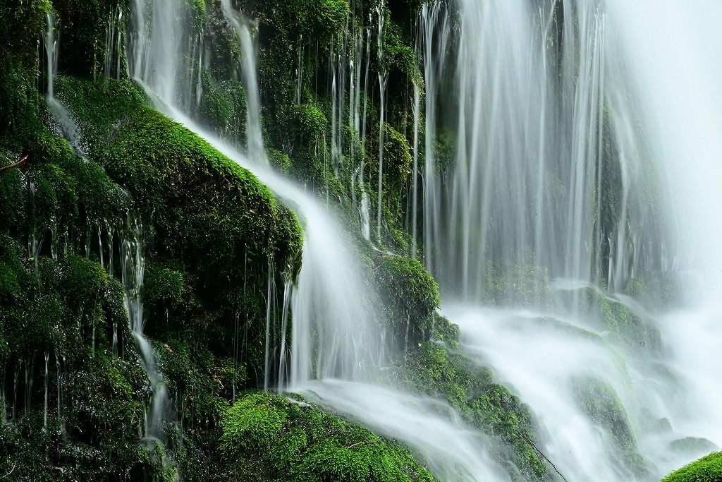 苔と水流