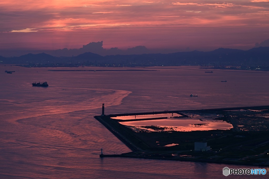 関西万博予定地