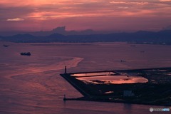 関西万博予定地