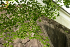 城壁