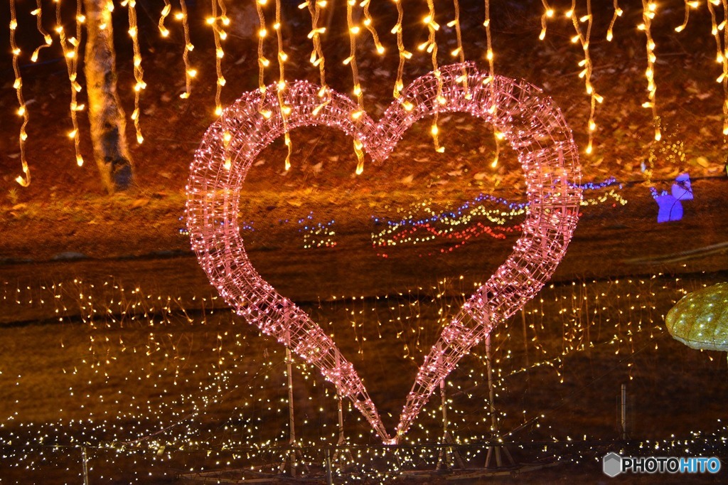 ハッピーナイト