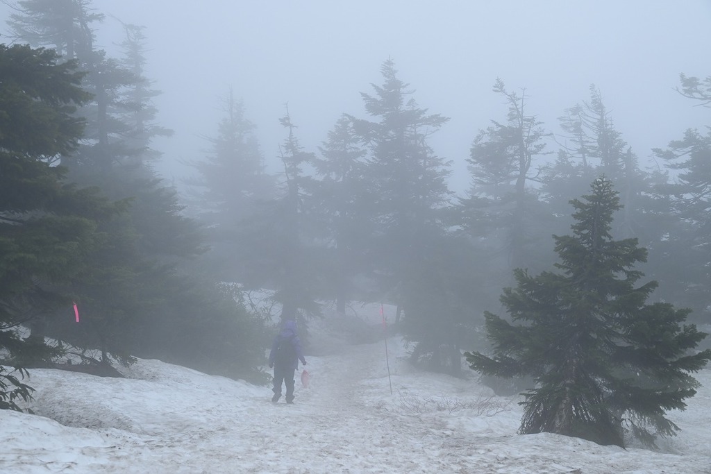 ドラゴンアイへの道