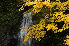 シッ谷大タル滝