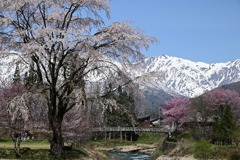 大出の吊り橋