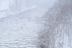氷紋