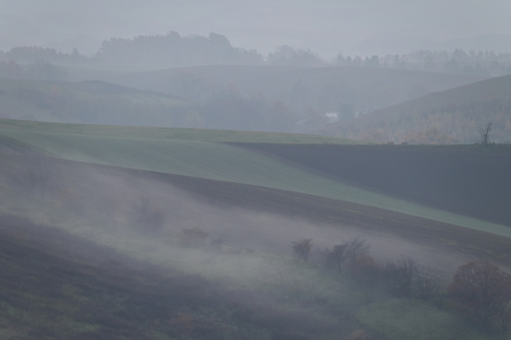 朝もやの丘