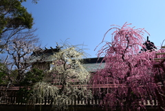 結城神社