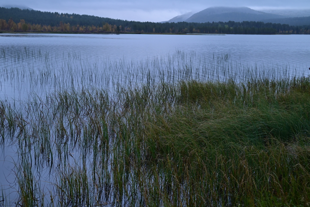 ラップランドの朝