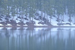 春まだ遠く