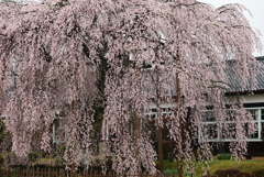 1-杵原学校