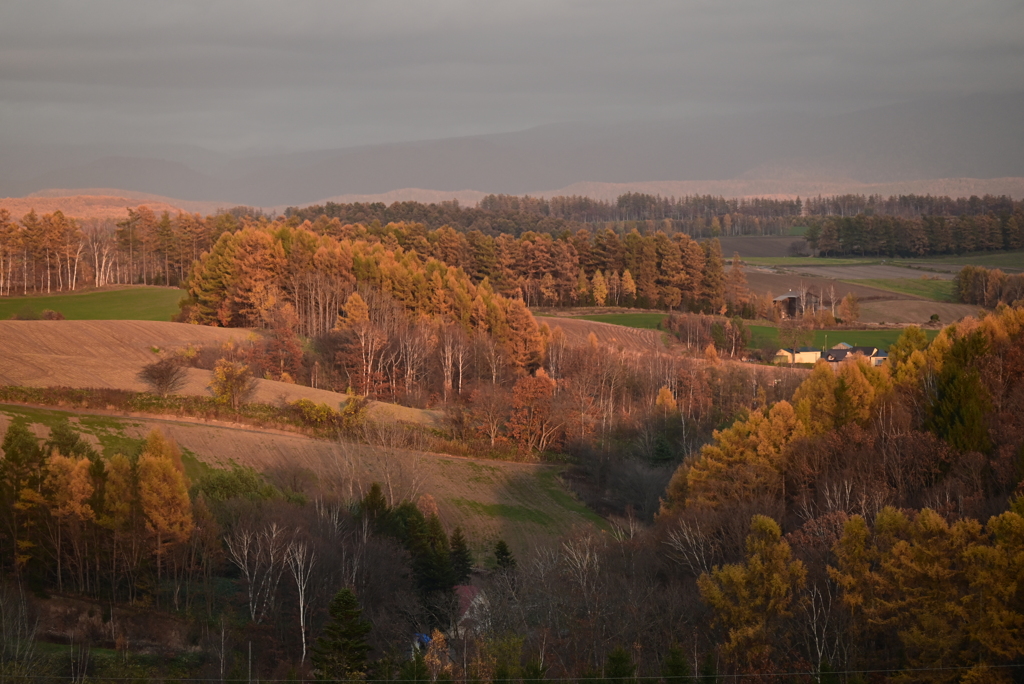 夕日に照らされて
