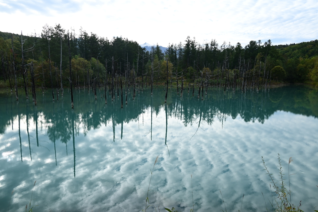 雲と青い池