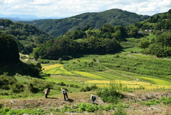 大垪和西の棚田