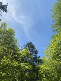 夏、山